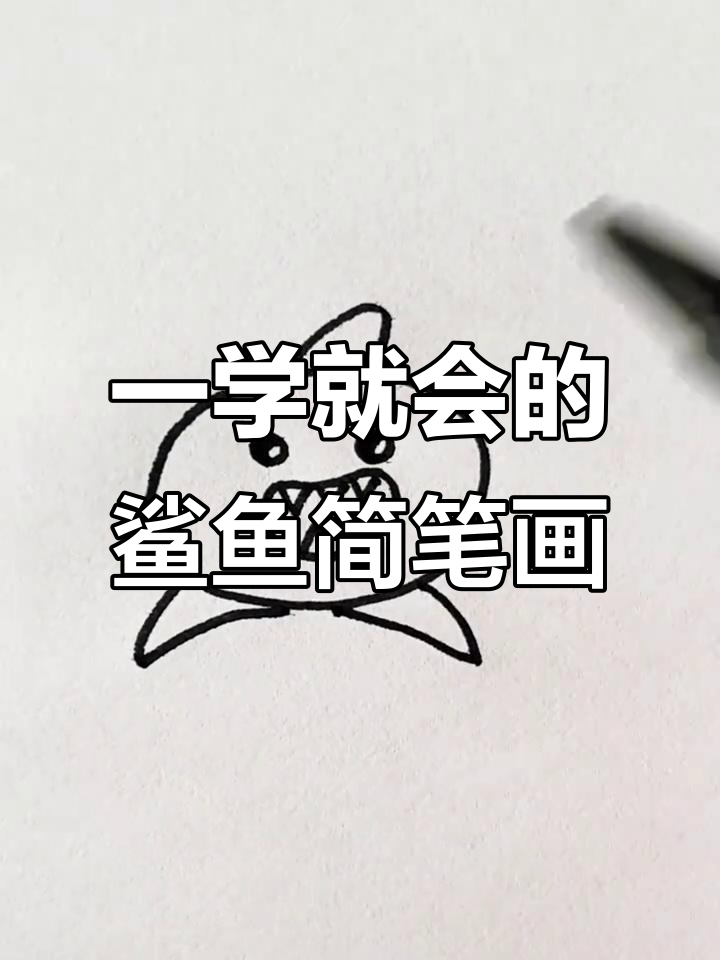 轻松学会画鲨鱼,步骤简单又有趣