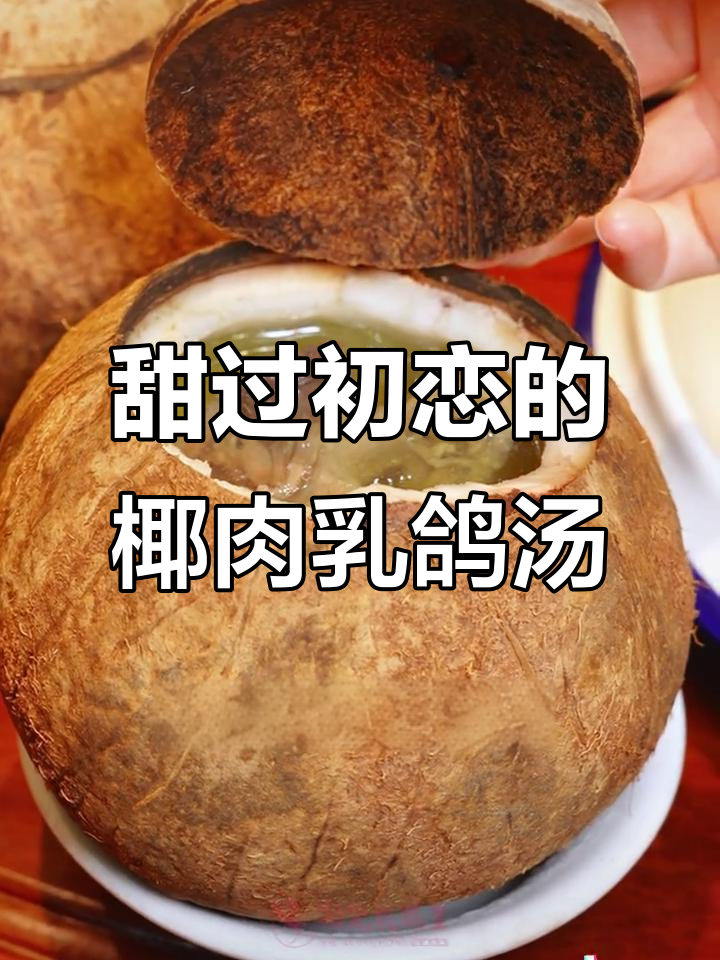 椰子乳鸽汤,双重鲜美让你停不下来!