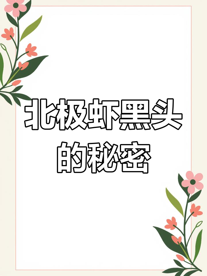 北极甜虾的黑头真相,原来是这样!