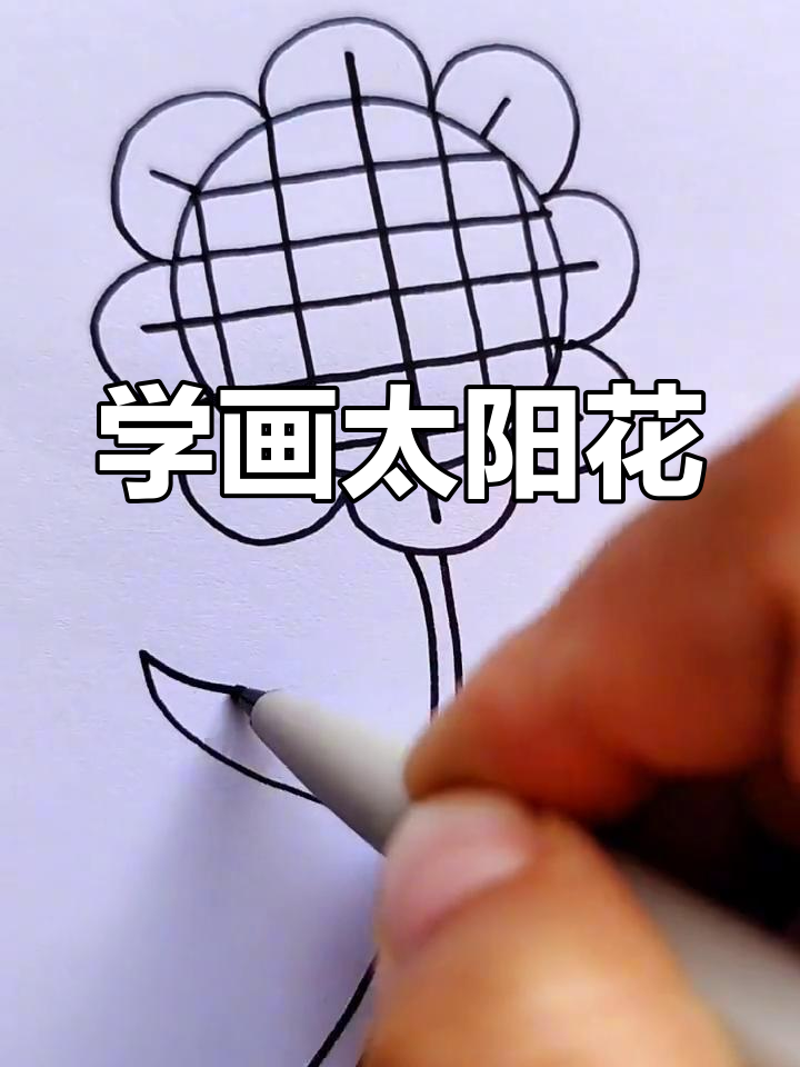 太阳花简笔画教程,轻松学会画可爱花朵