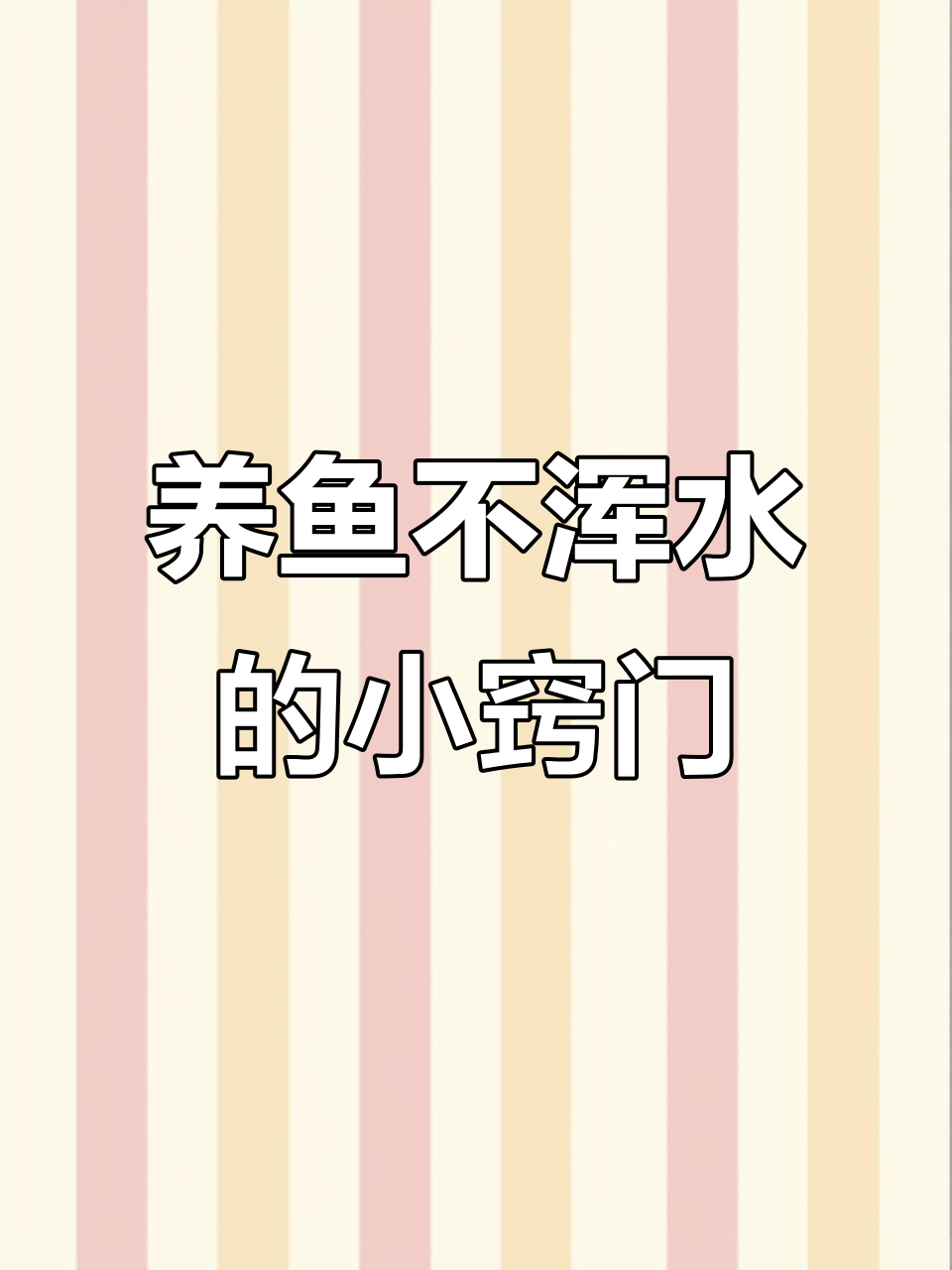 瓦缸养鱼小技巧,保持水质清澈的秘诀