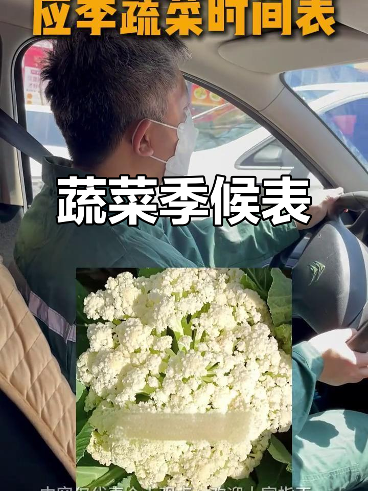 蔬菜季节表,每月必吃清单!