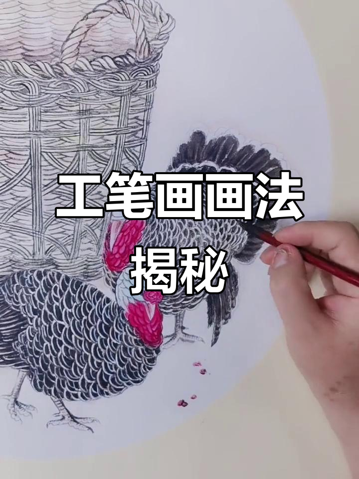 细致入微的工笔画技巧,火鸡画法全解析