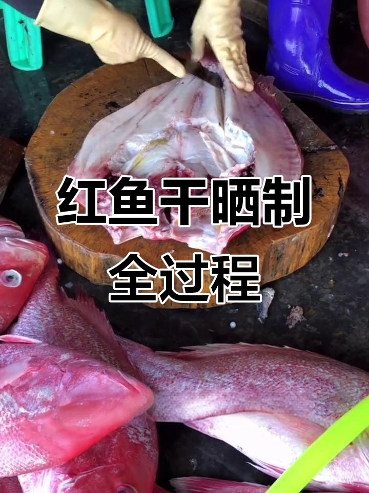 海南儋州红鱼干制作揭秘:从新鲜到美味只需五天