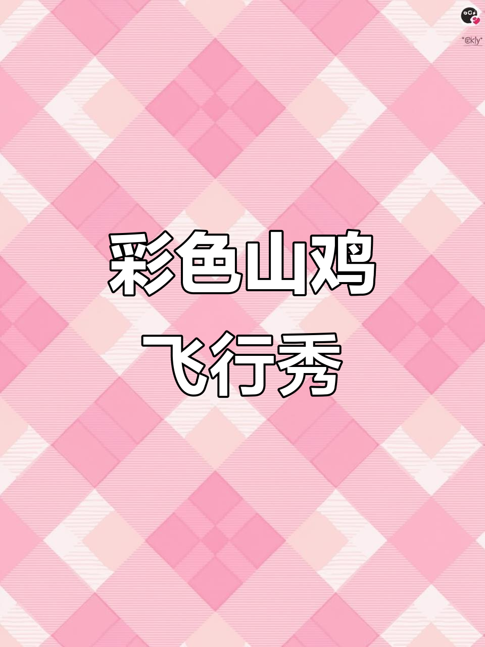 广西武宣七彩山鸡大揭秘,孔雀蓝母鸡飞得高又美