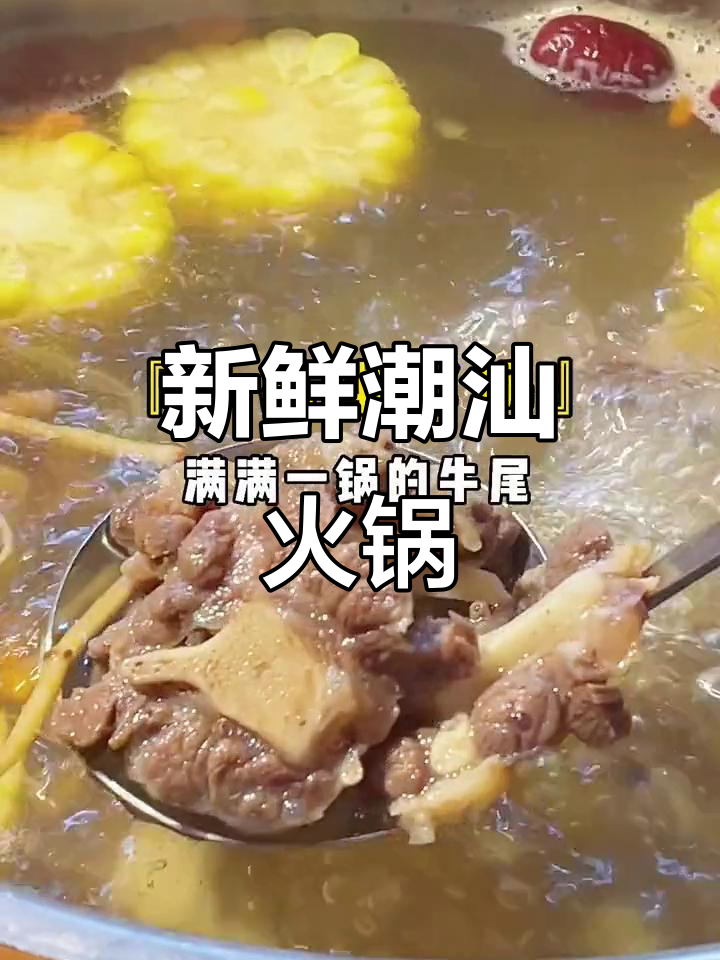 潮汕火锅清汤锅底,涮牛肉鲜美无比,营养满分!