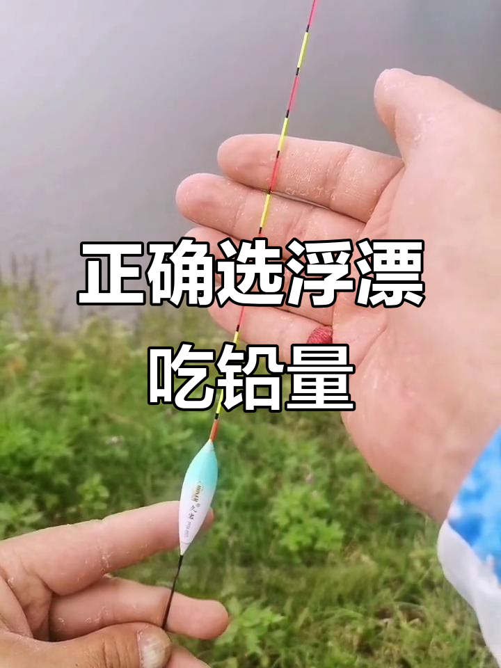 如何选择浮漂吃铅量?从新手到高手的必看技巧