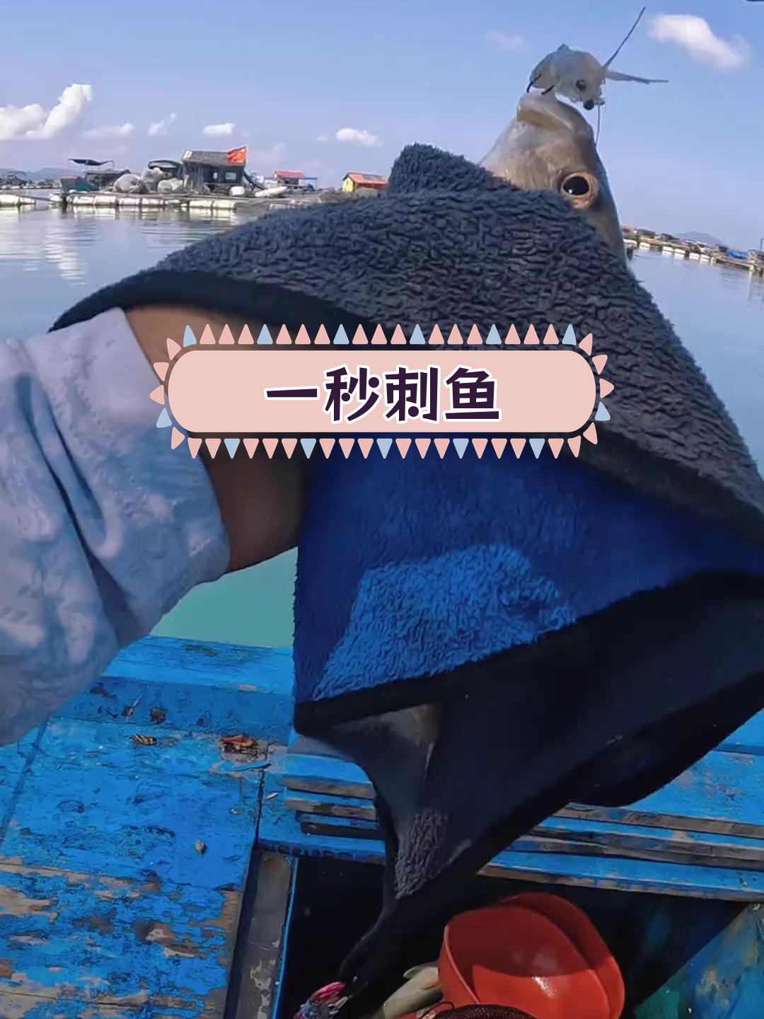 火点鱼抓口技巧,快速反应一气呵成