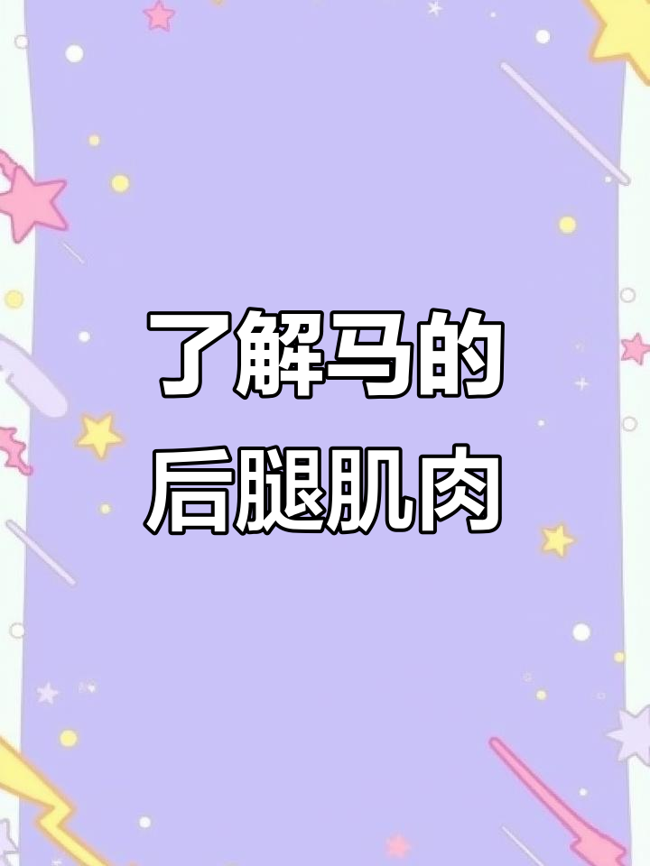 马后腿肌肉结构详解:从臀部到足部的关键肌群
