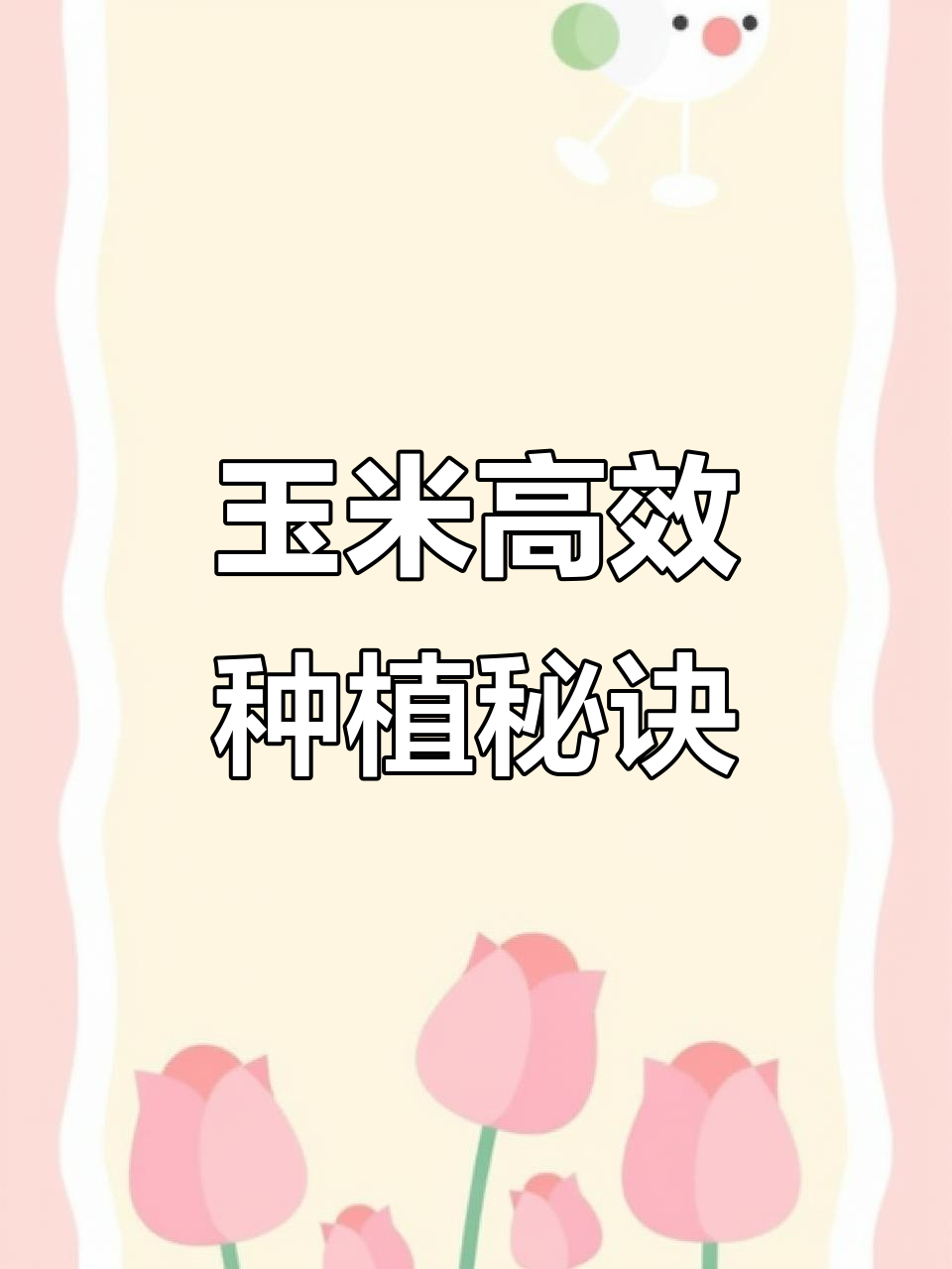 玉米种植技巧:如何科学施肥与杀菌,提升产量