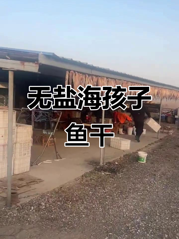 甜晒海孩子鱼干,无盐也能吃出咸味来