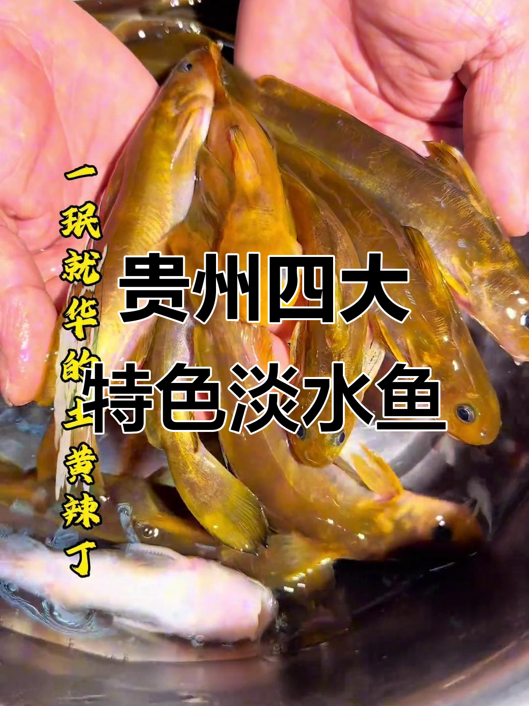 贵州四大名鱼,暗河特产让你一次尝遍
