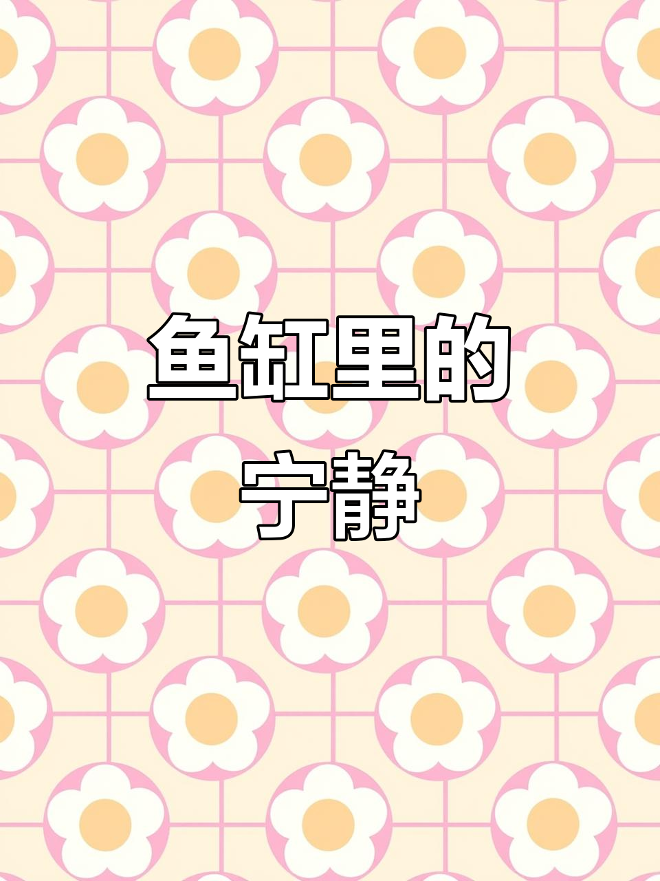 夜晚独自静坐,观赏鱼儿游动,疲惫尽消,心灵得到治愈