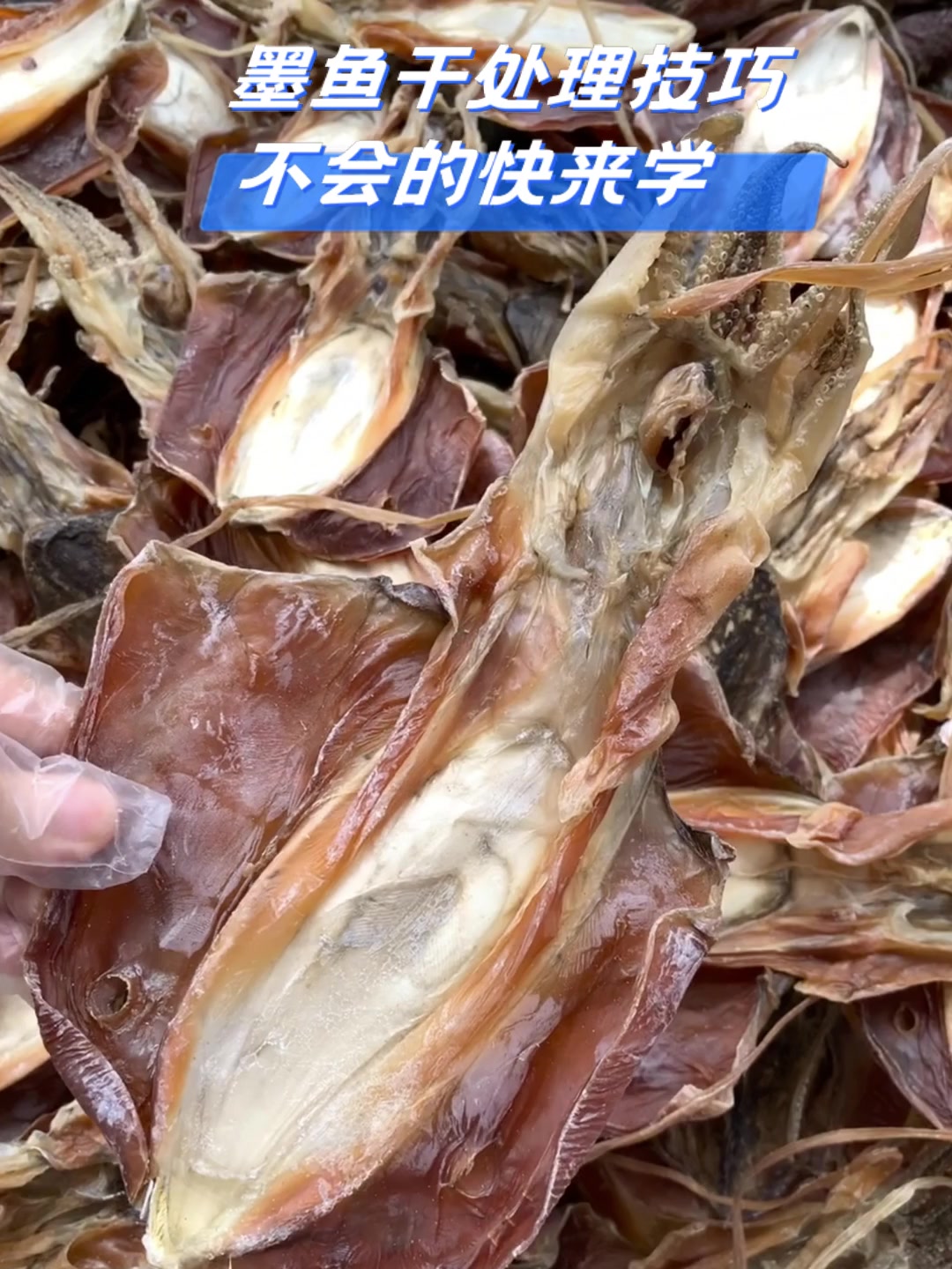 墨鱼干处理技巧,不会的快来学