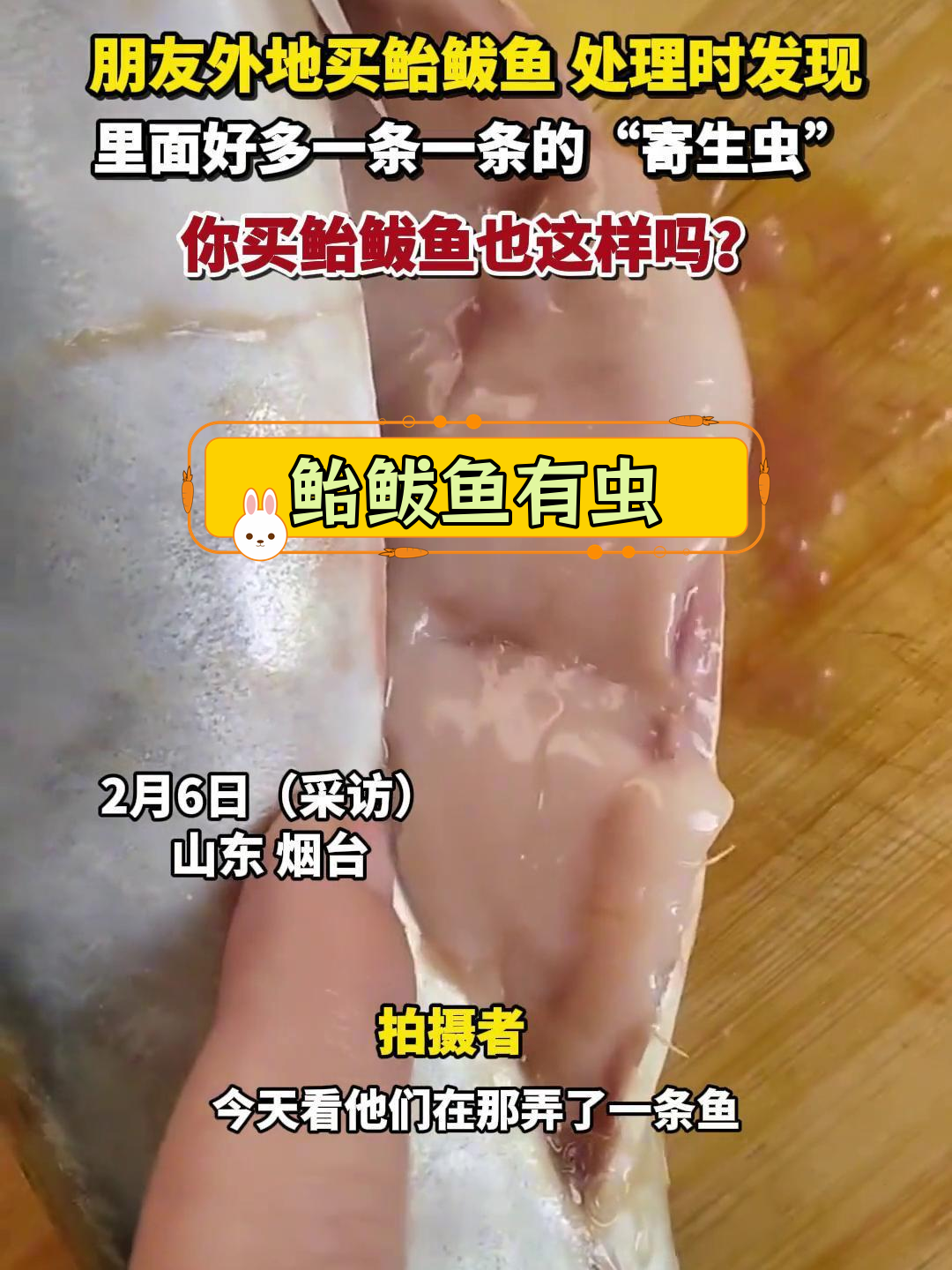 鲐鲅鱼内藏寄生虫,清洗后发现惊人现象