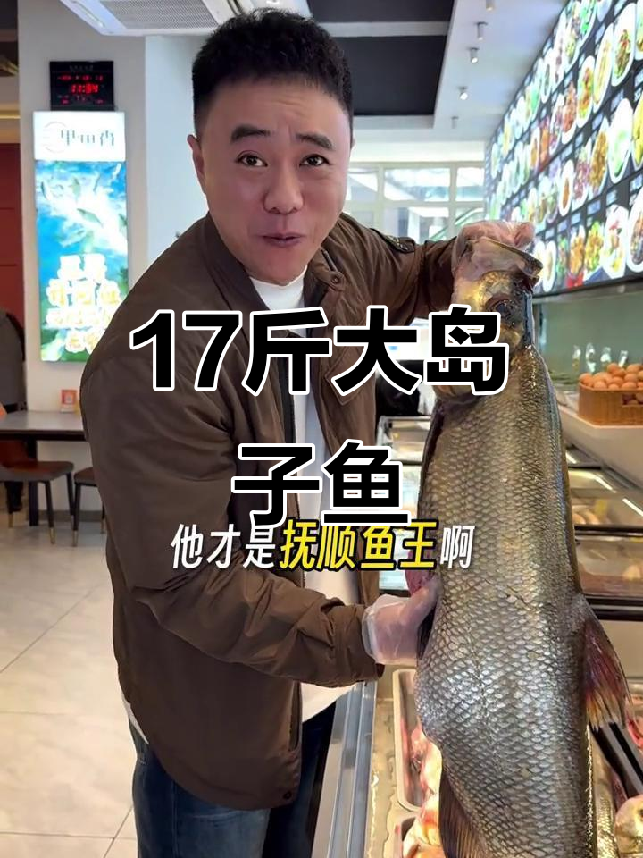 抚顺大岛子鱼王现身,17斤翘嘴惊艳全场