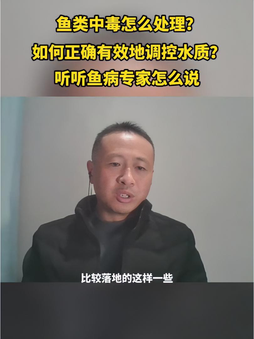 鱼类中毒怎么处理?如果正确有效地调控水质?水产养殖 三农 鱼中毒后有什么症状