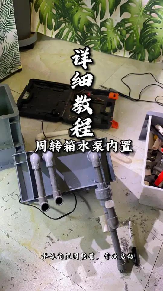 创作灵感 周转箱过滤水泵内置教程,告别水泵丢鱼缸,养个鱼竟然还学会了水电工 周转箱过滤制作