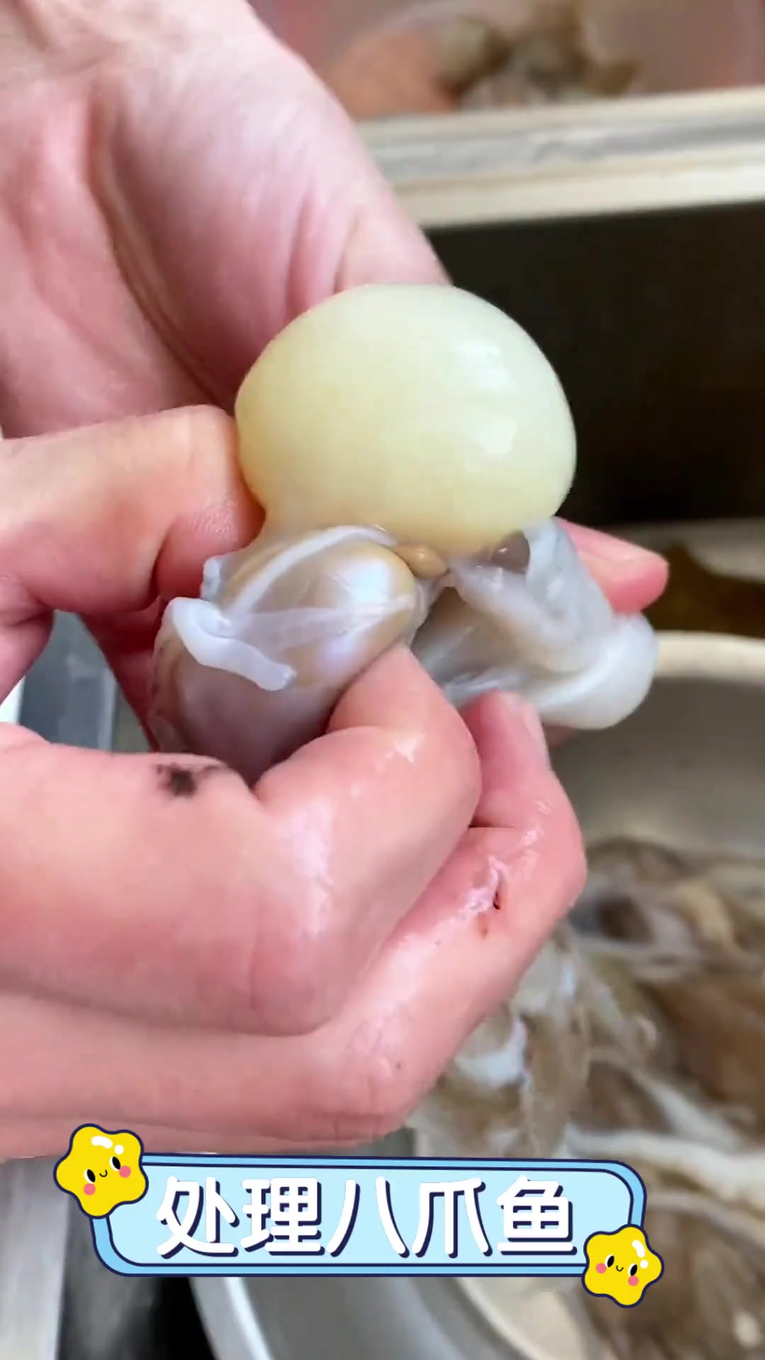 处理八爪鱼