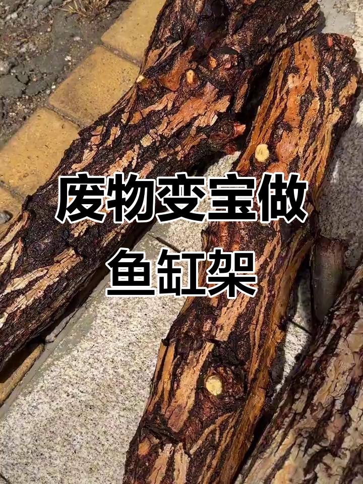 利用废木料打造鱼缸架子，变身效果超惊艳！