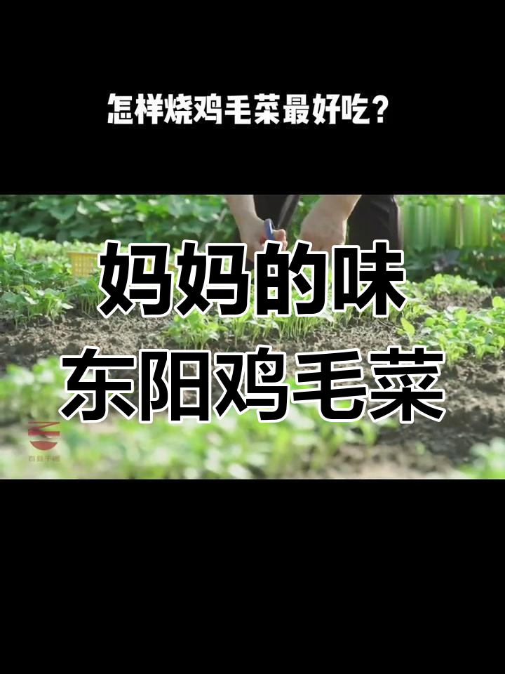 东阳家常鸡毛菜,简单炒出妈妈的味道