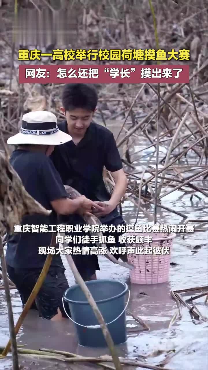 重庆一高校举行校园荷塘摸鱼大赛 网友：怎么还把“元老”摸出来了