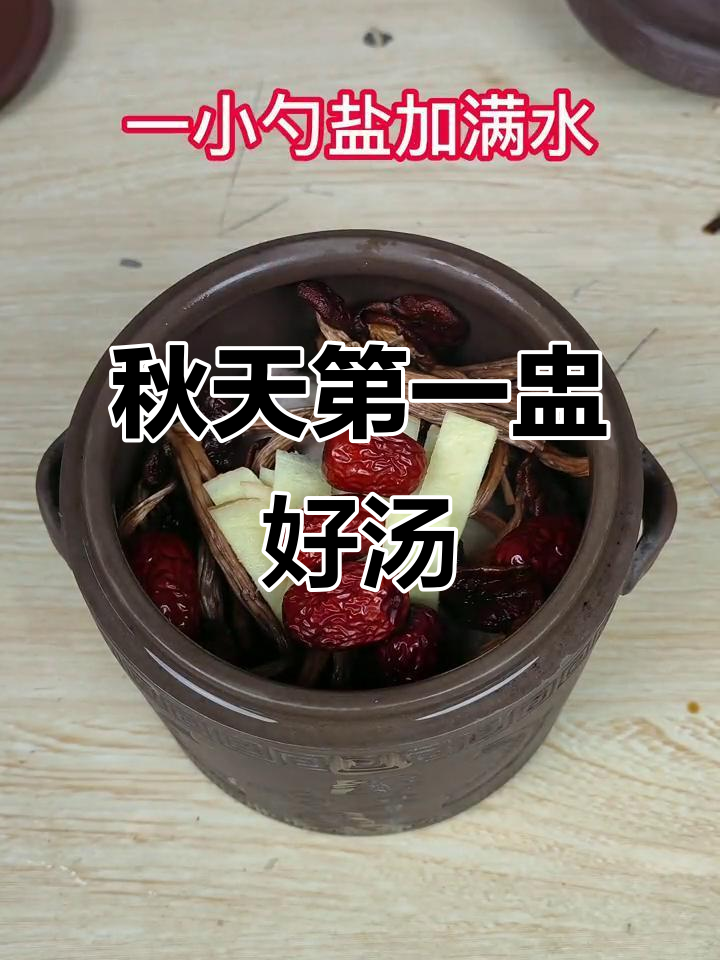 秋季滋补汤,鸽子炖茶树菇,产后妈妈必试