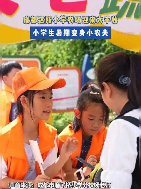 20亩的农场里,成都磨子桥小学分校的师生们亲手种下的各种瓜果蔬菜迎来大丰收!暑期里,同学们