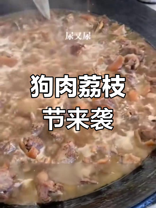 广西玉林狗肉节:夏至吃荔枝狗肉,健康又美味