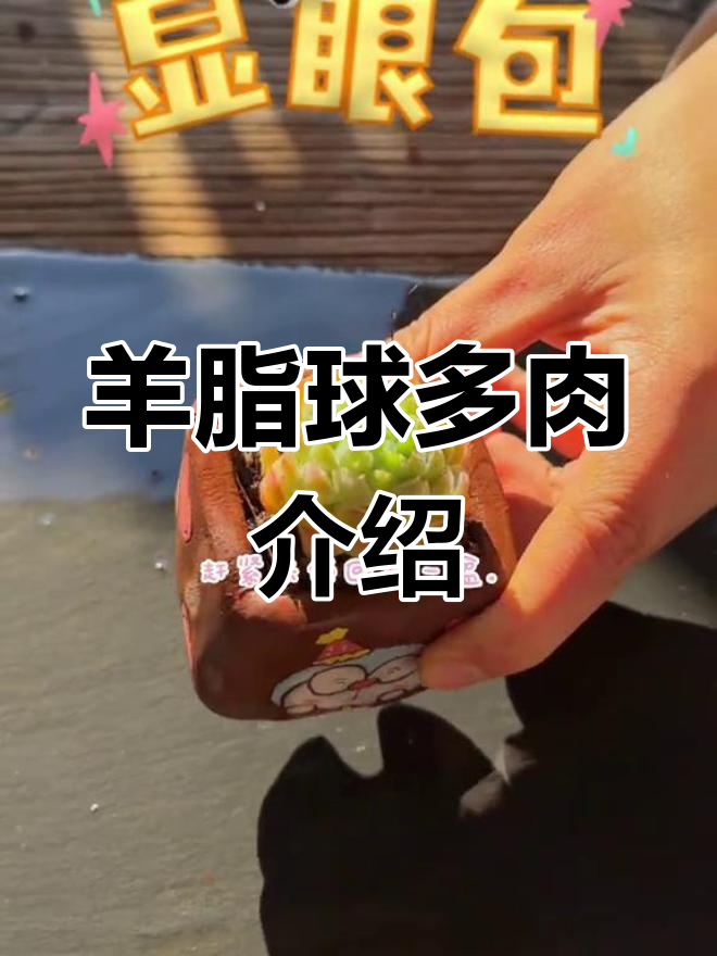 羊脂球多肉:状态前后对比,惊艳变化