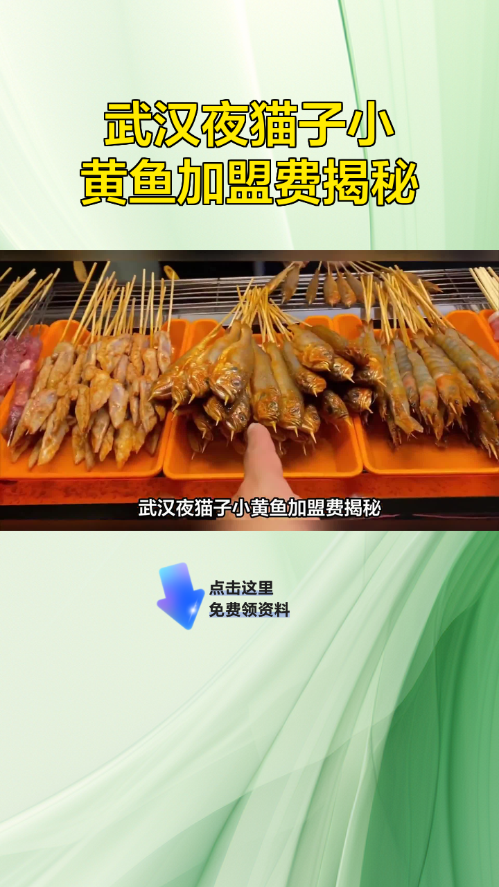 武汉夜猫子小黄鱼加盟费揭秘