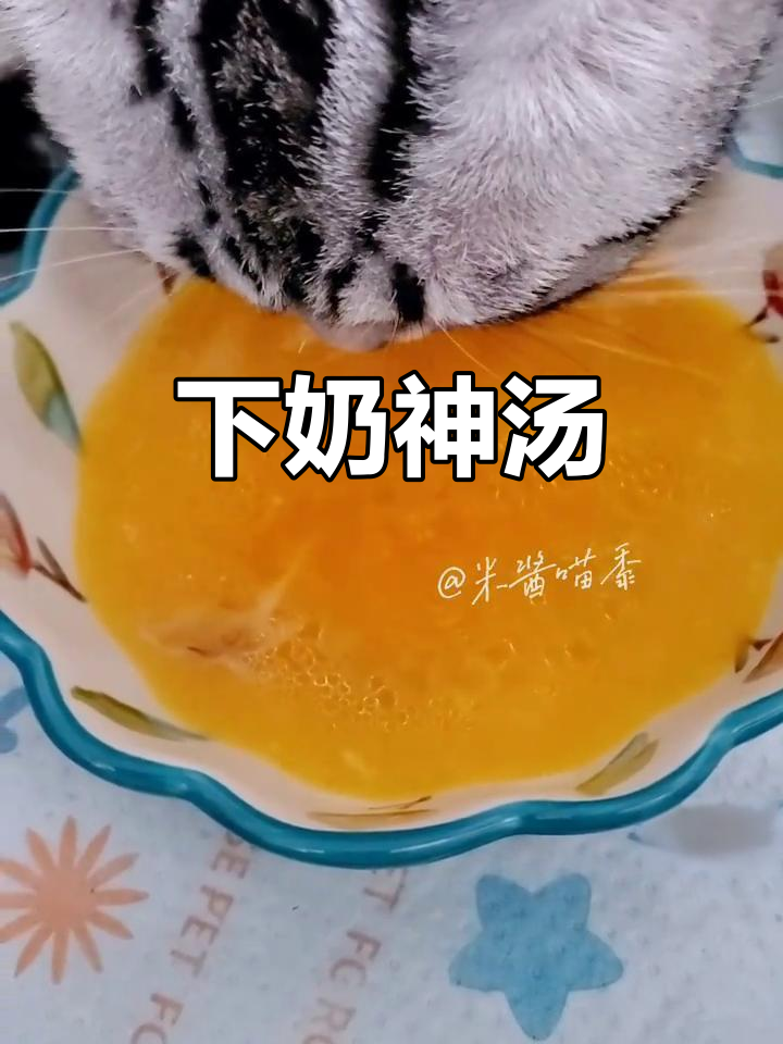 鸡汤下奶,鸡腿南瓜高压锅炖汤