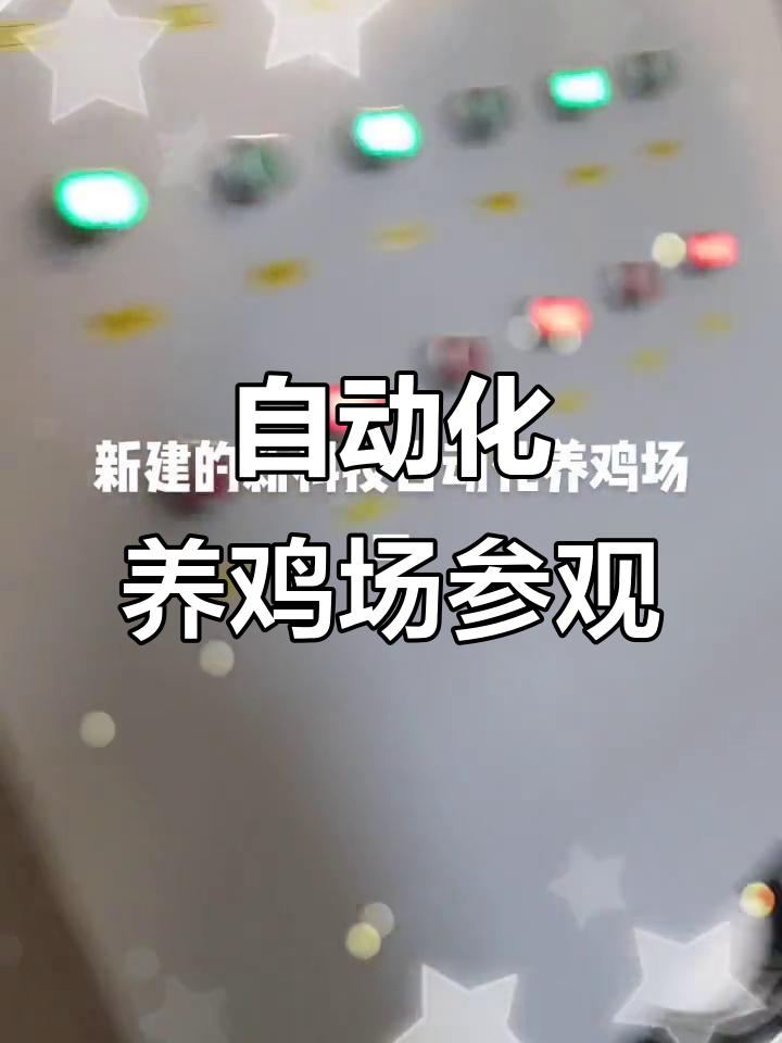 探访自动化养鸡场,揭秘现代化养殖技术