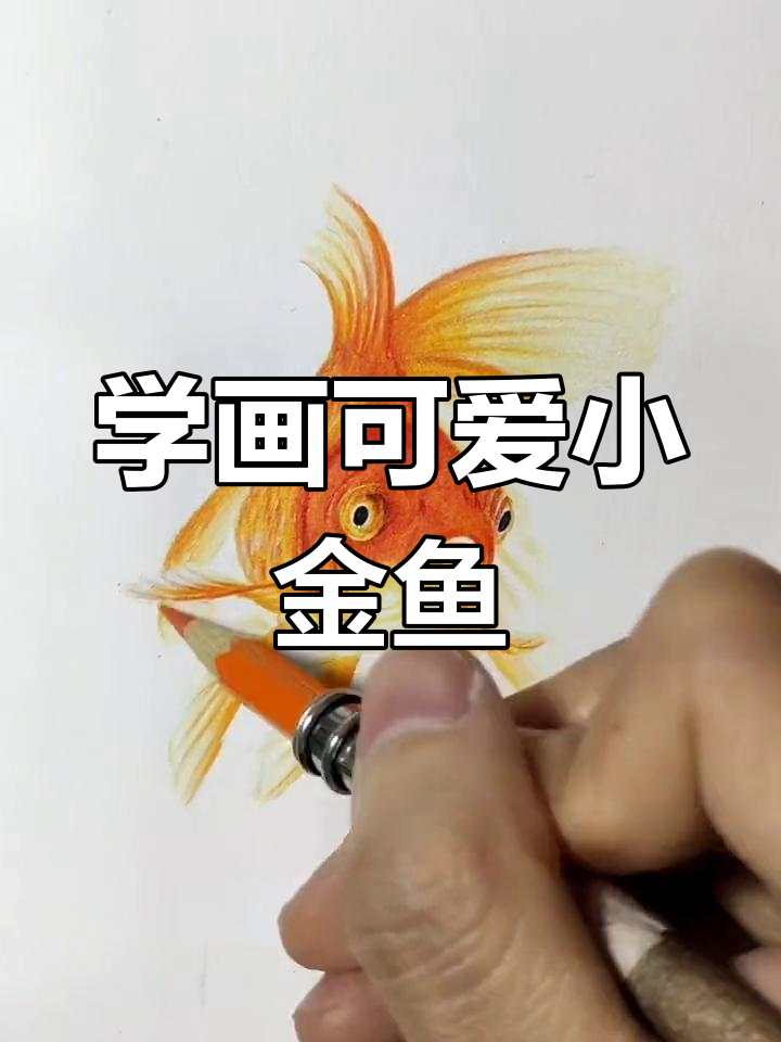 画小金鱼,步骤简单又有趣!学会这些技巧轻松上手