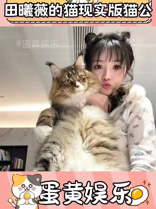 小田肌肉像是就这么练出来的