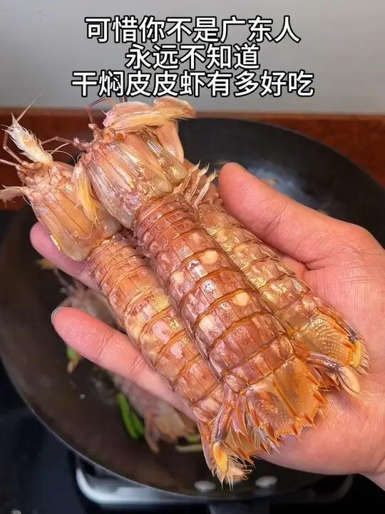 我是广东人、我会做干焖皮皮虾