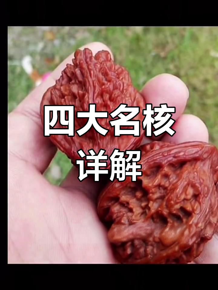 文玩核桃四大品种解析