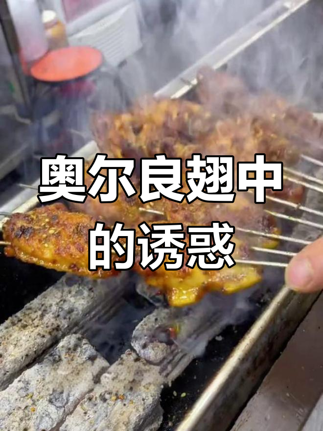 奥尔良翅中,老少皆宜的烧烤美味,值得一试!
