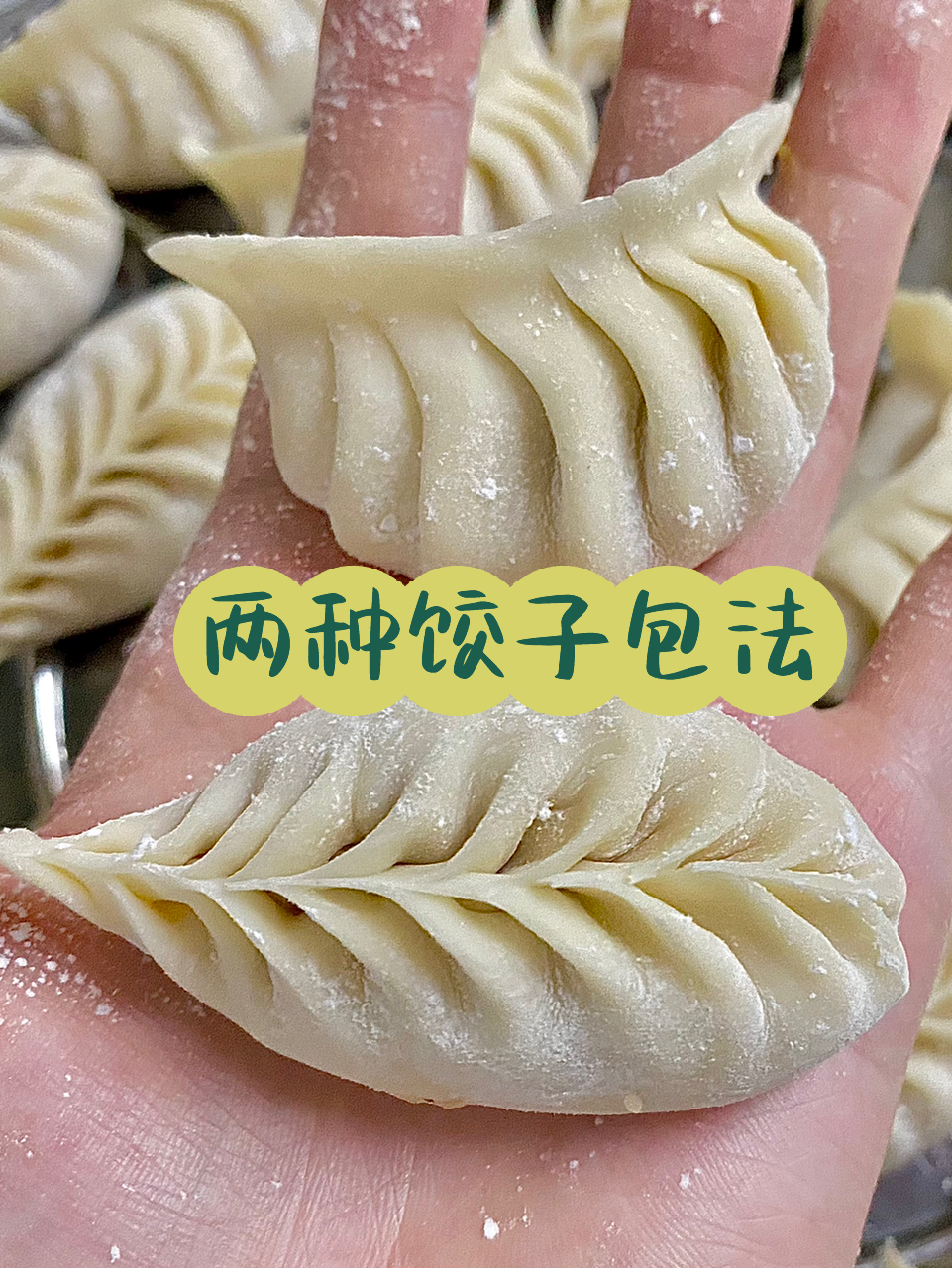 包饺子的视频来了