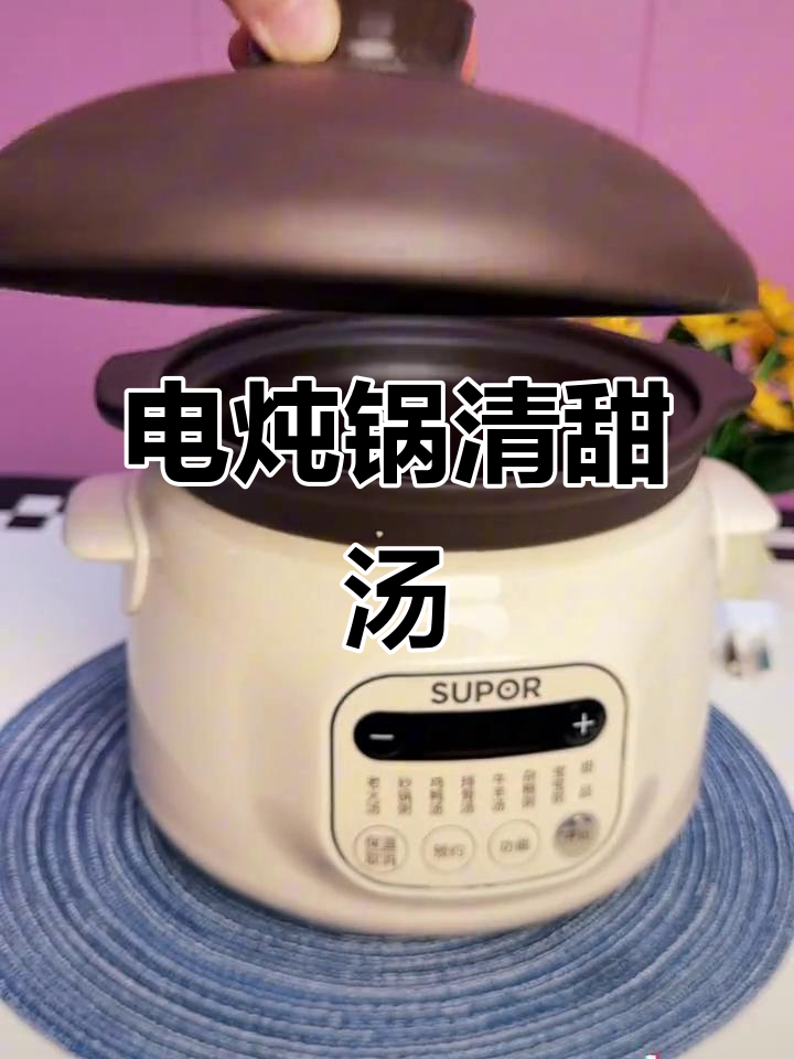秋季干燥,炖汤润身不油腻!苏泊尔电炖锅轻松煲出美味
