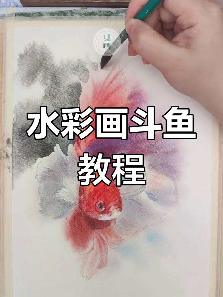 绘制复杂斗鱼技巧解析