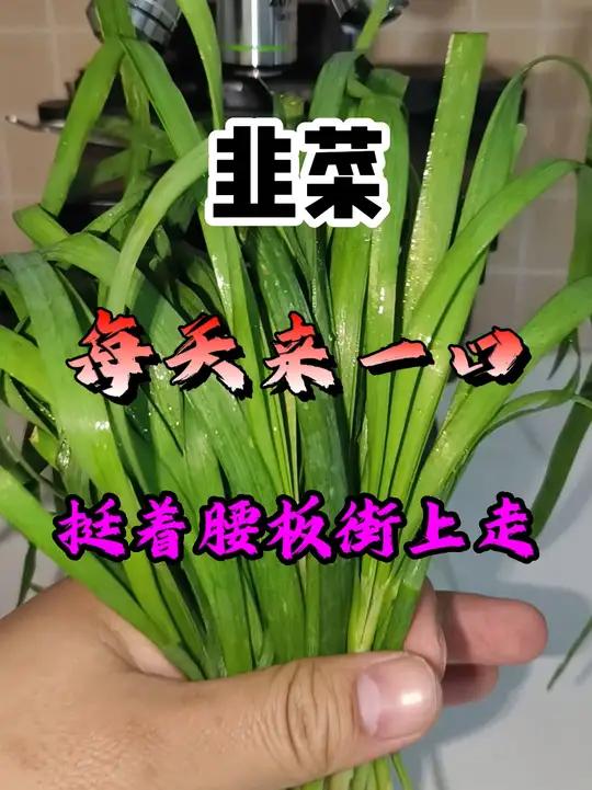 显微镜下的世界