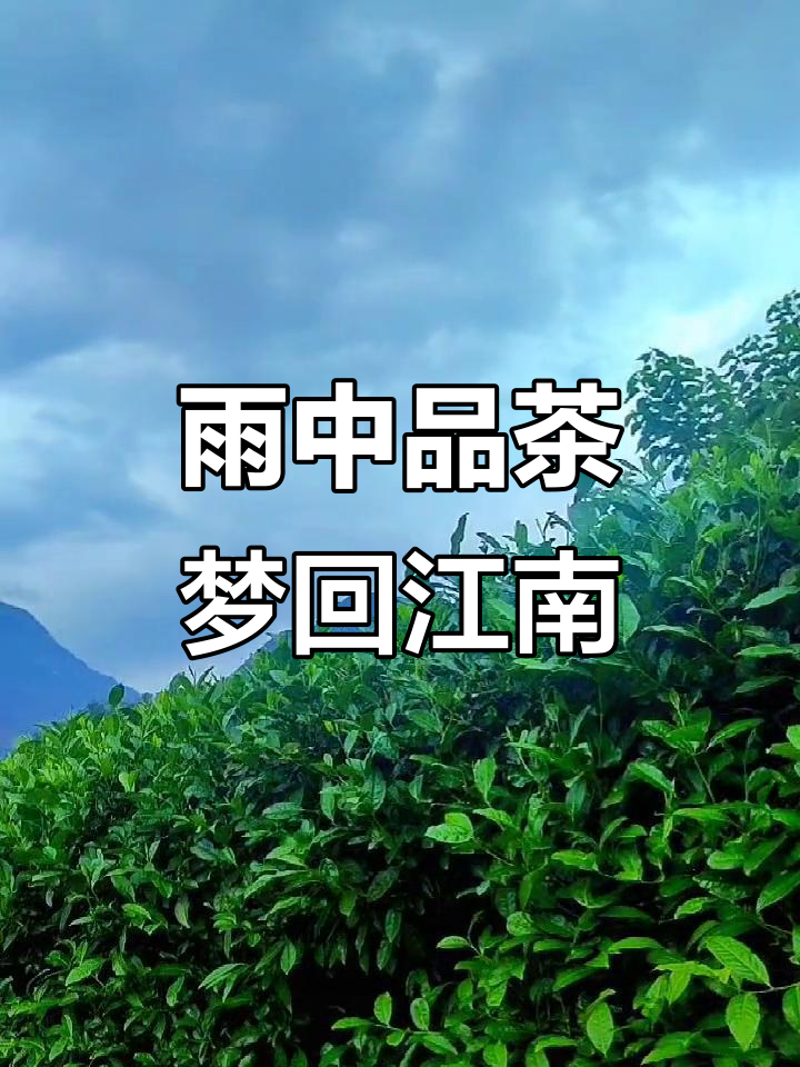 江南雨夜,茶香弥漫小楼,听雨煮茶的梦