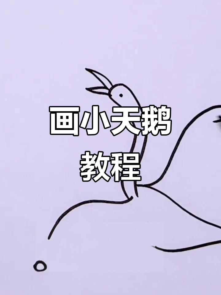 小天鹅简笔画,轻松学会!