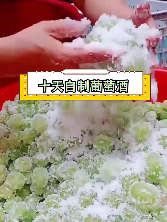 自制葡萄酒,十斤葡萄三斤糖,清香美味
