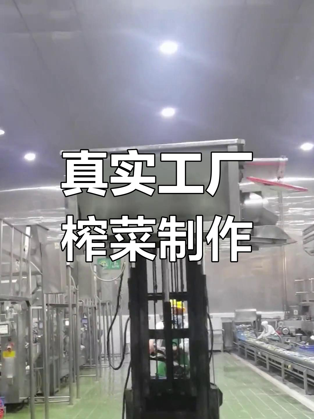 吉香居工厂榨菜罐装生产全程曝光