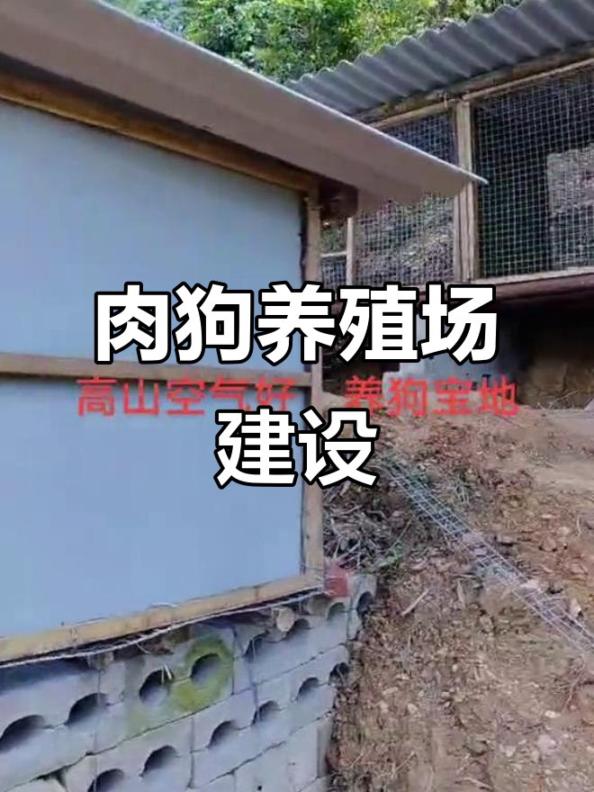 养殖场建设现场实拍,肉狗养殖全过程大揭秘