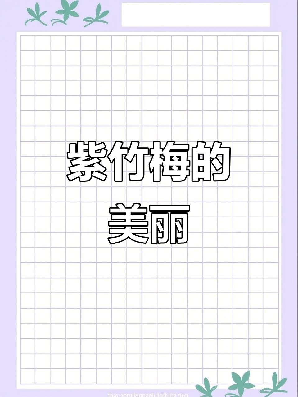 紫竹梅与紫叶鸭跖草:美丽紫色植物的魅力