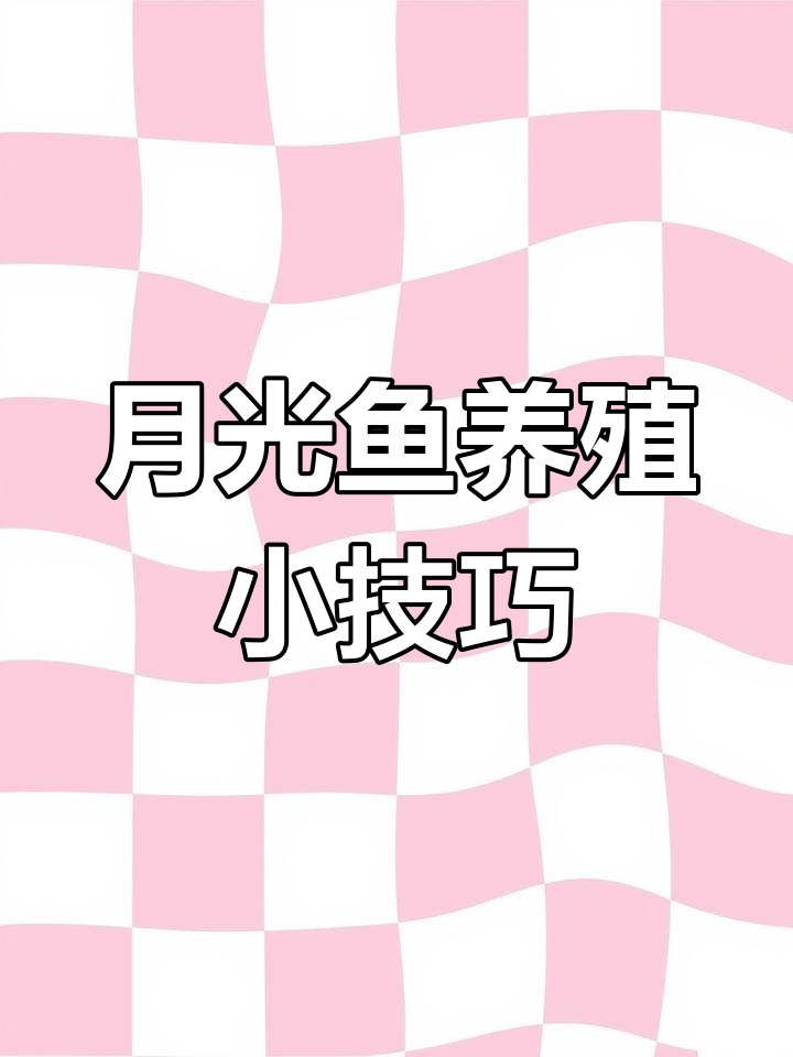 月光鱼养护全攻略：从水质到性别辨别