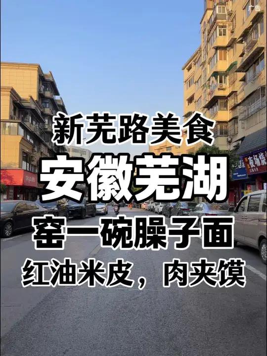 中和路和新芜路交叉路口新开了一家窑一碗臊子面,他家的红油米皮和肉夹馍可以尝尝